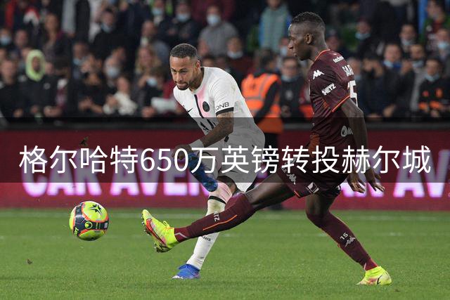格尔哈特650万英镑转投赫尔城